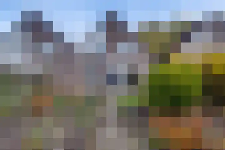 Schoolplein 4 Warnsveld thumbnail 25