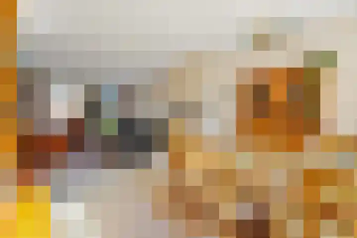 Schoolplein 8 Schipluiden thumbnail 14