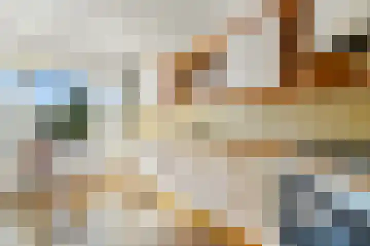 Schoolplein 8 Schipluiden thumbnail 17