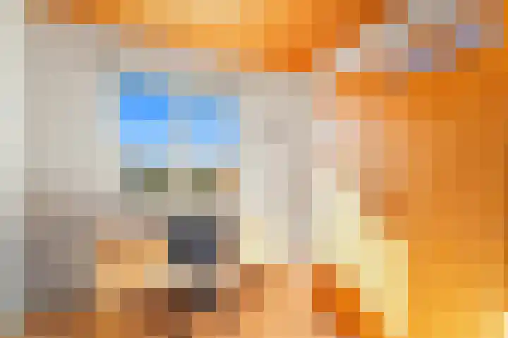 Schoolplein 8 Schipluiden thumbnail 29