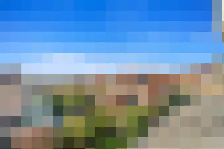 Schoolplein 8 Schipluiden thumbnail 35