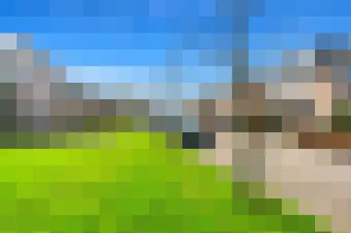 Schoolplein 8 Schipluiden thumbnail 41