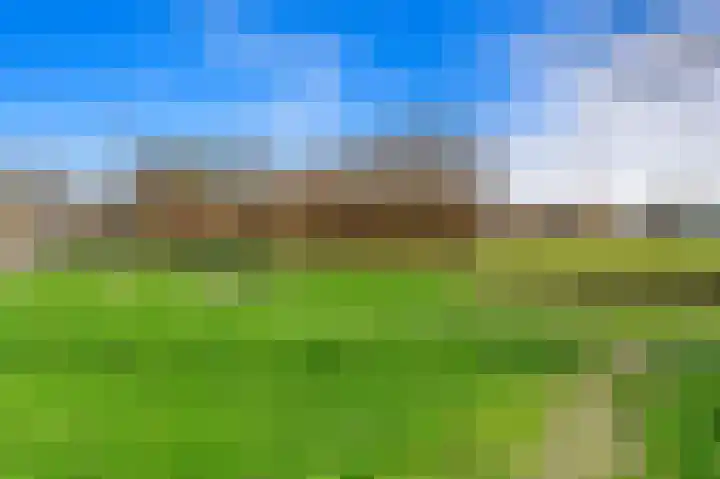 Schoolplein 8 Schipluiden thumbnail 44