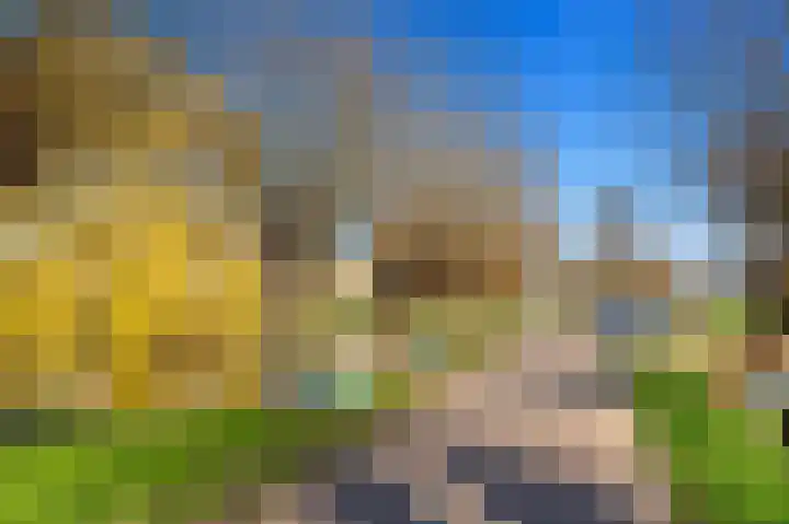 Schoolplein 8 Schipluiden thumbnail 45
