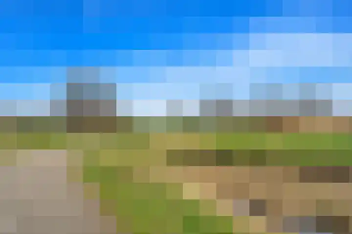 Schoolplein 8 Schipluiden thumbnail 46