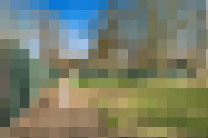 Schoolplein 8 Schipluiden thumbnail 47