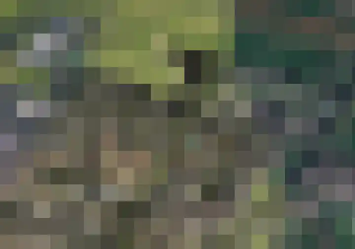 Schoolplein 8 Schipluiden thumbnail 5