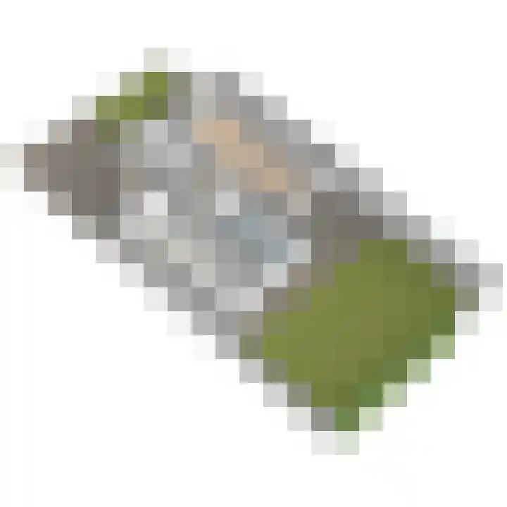 Schoolplein 8 Schipluiden thumbnail 71