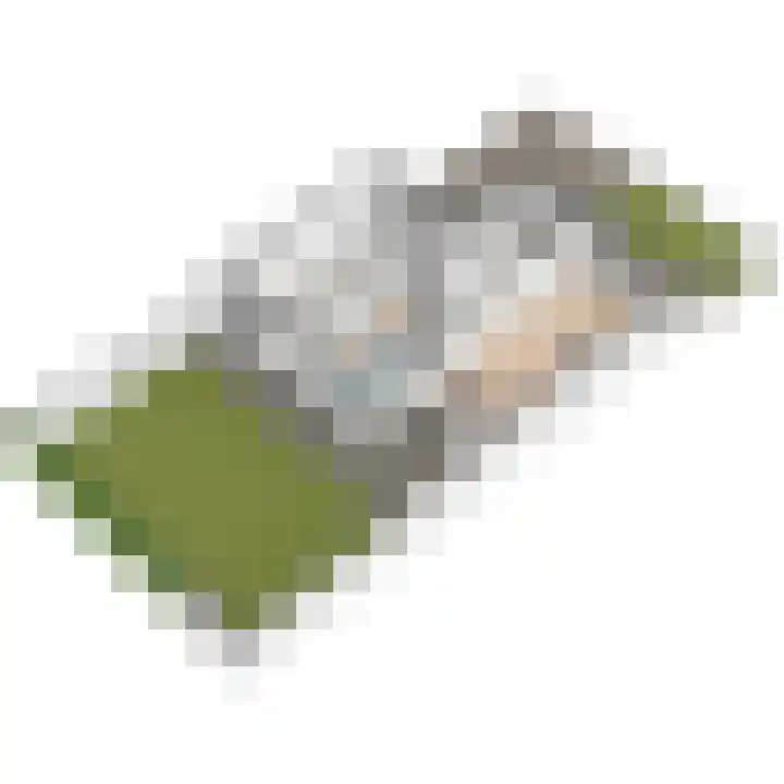Schoolplein 8 Schipluiden thumbnail 72