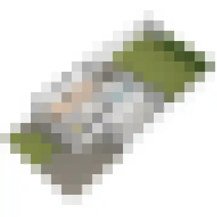 Schoolplein 8 Schipluiden thumbnail 74