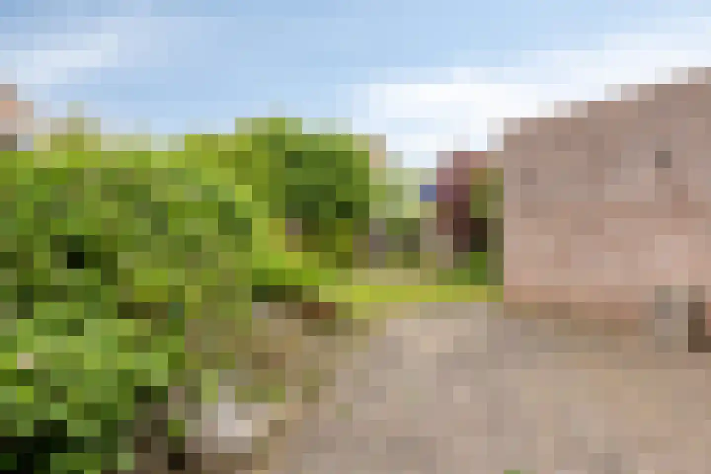 Schoolplein 8 Warnsveld thumbnail 24