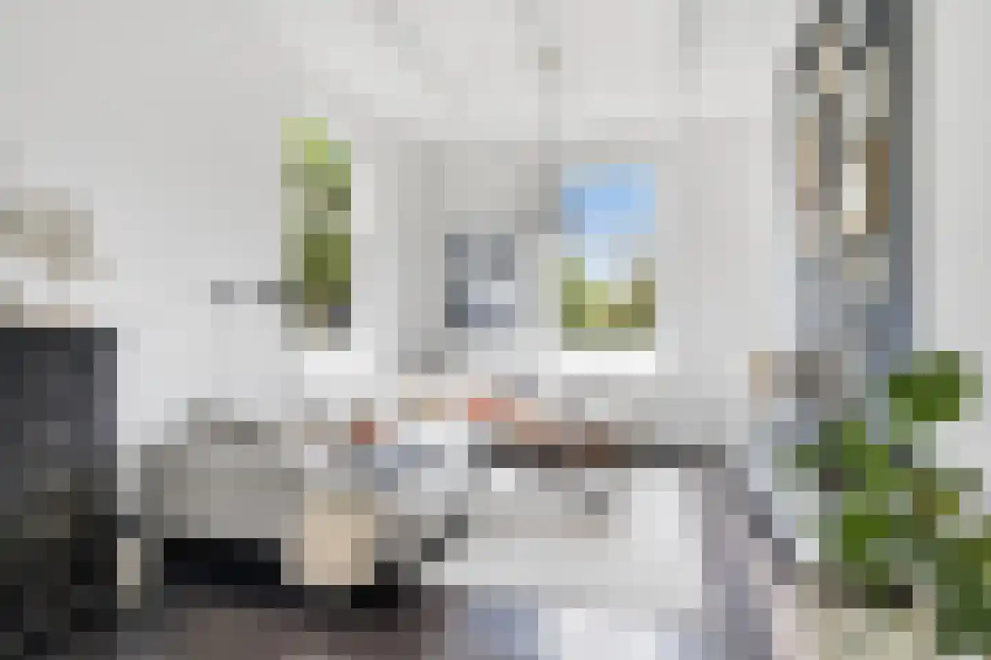 Schoolsingel 22 Arum thumbnail 10