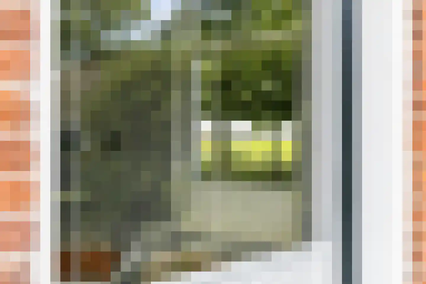 Schoolsingel 22 Arum thumbnail 11