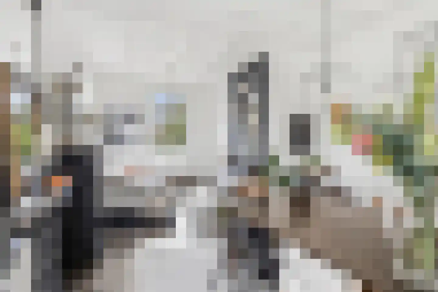 Schoolsingel 22 Arum thumbnail 12