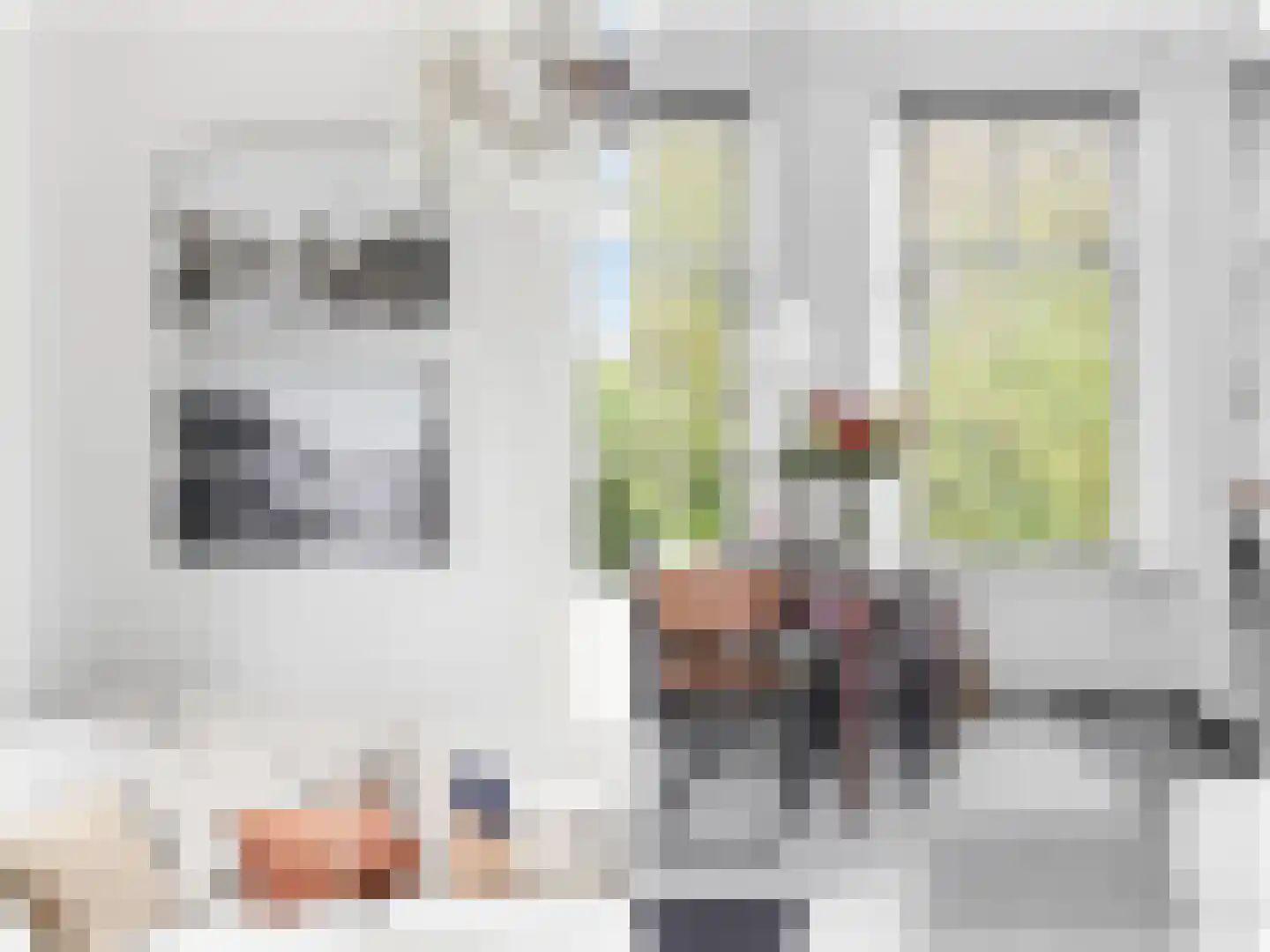 Schoolsingel 22 Arum thumbnail 13