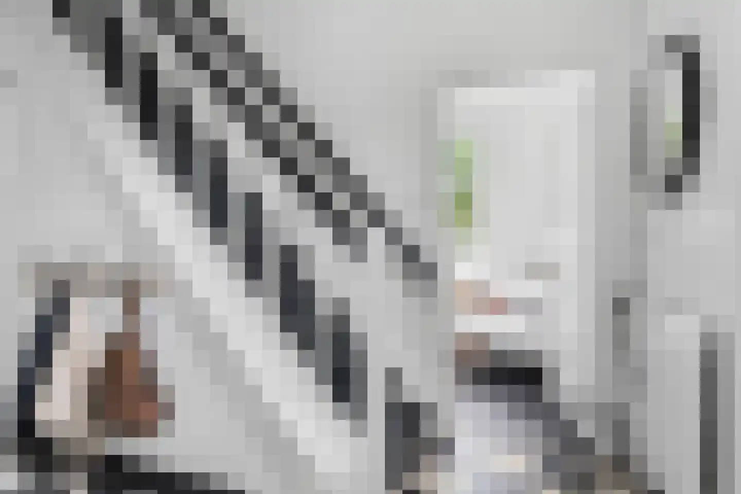 Schoolsingel 22 Arum thumbnail 32