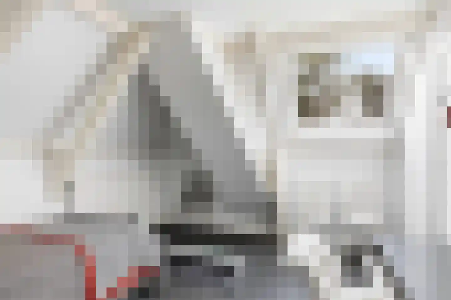 Schoolsingel 22 Arum thumbnail 37
