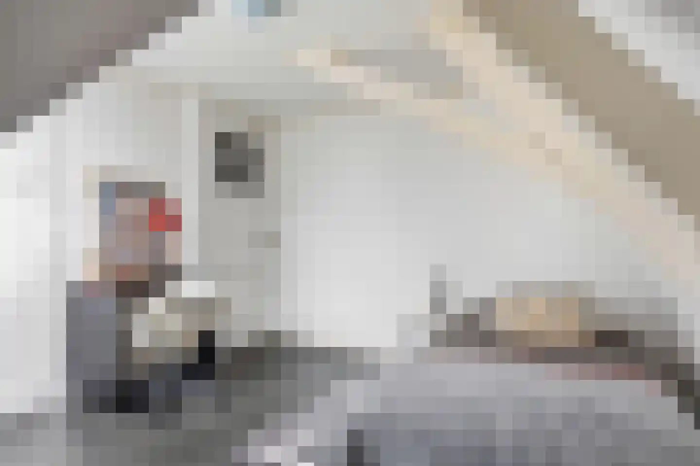 Schoolsingel 22 Arum thumbnail 38