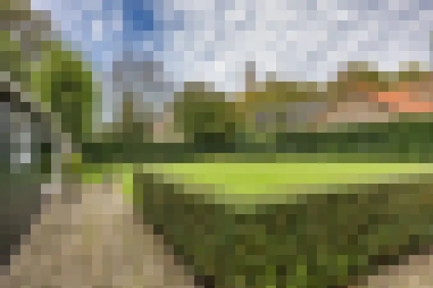 Schoolsingel 22 Arum thumbnail 46