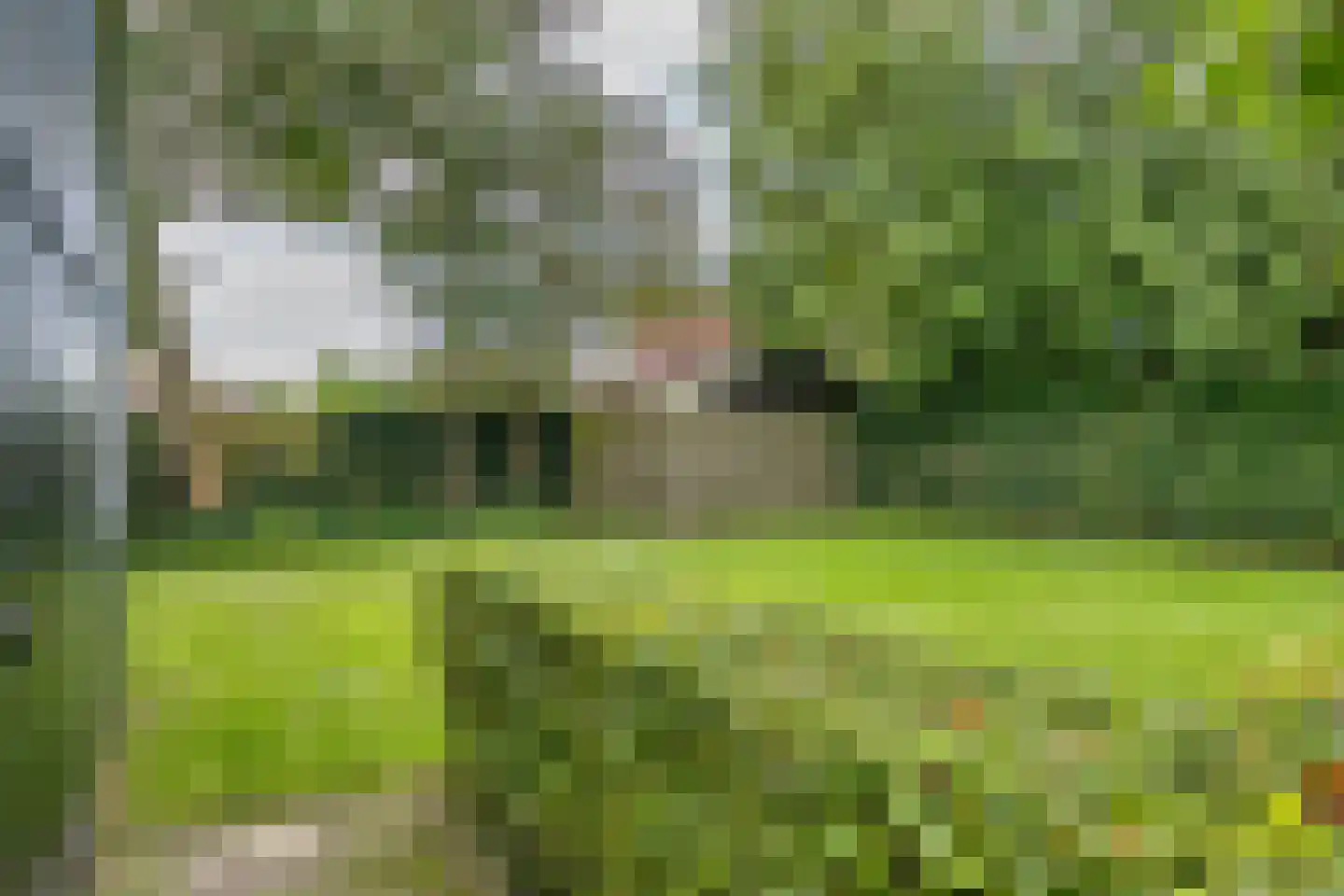 Schoolsingel 22 Arum thumbnail 47