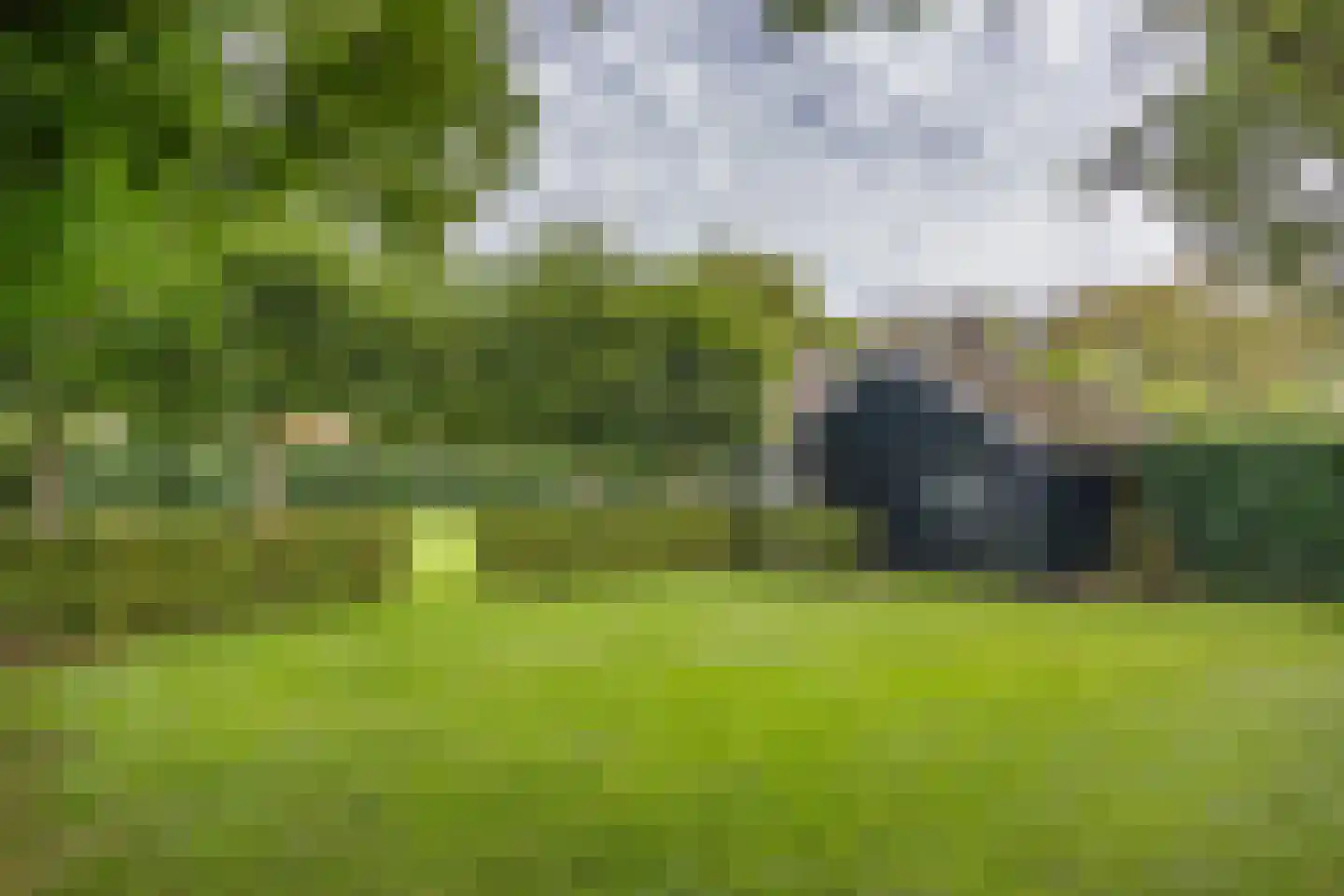 Schoolsingel 22 Arum thumbnail 48