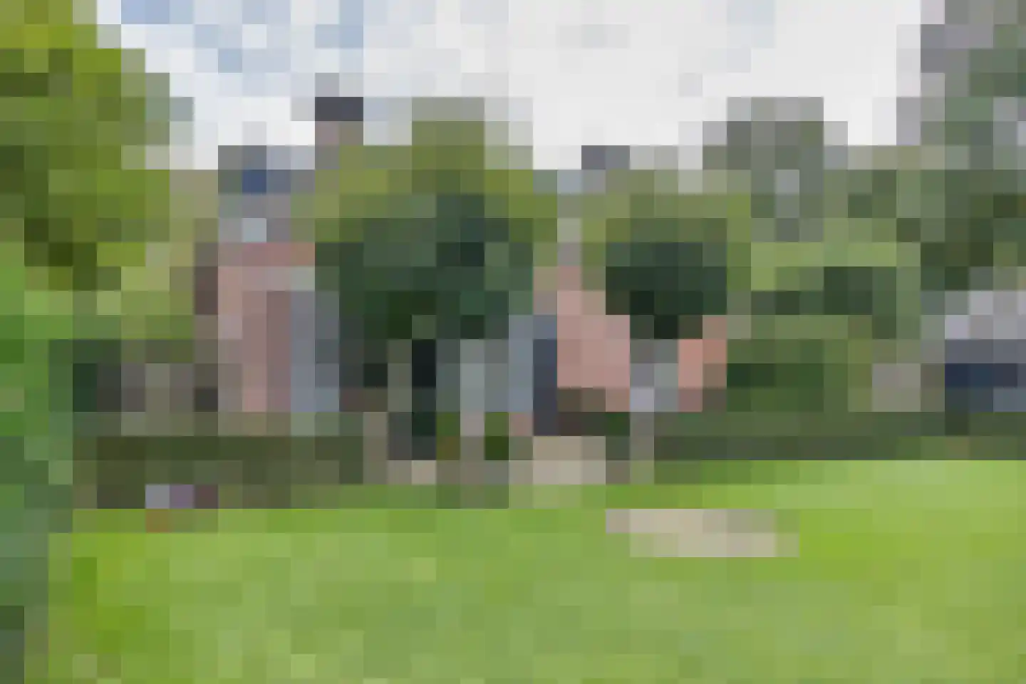 Schoolsingel 22 Arum thumbnail 49