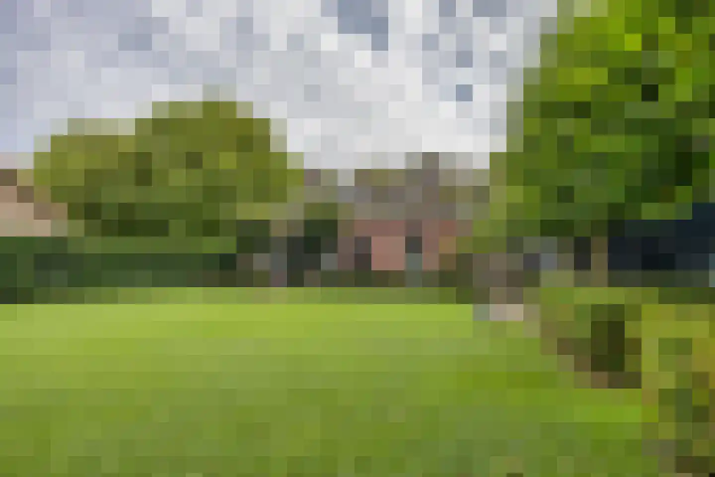 Schoolsingel 22 Arum thumbnail 51