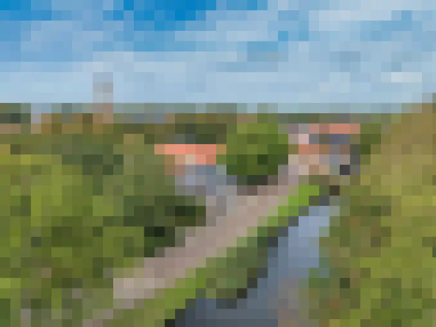 Schoolsingel 22 Arum thumbnail 55