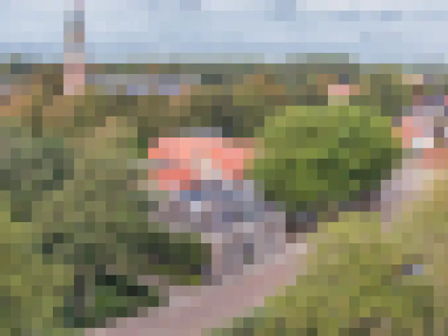 Schoolsingel 22 Arum thumbnail 56