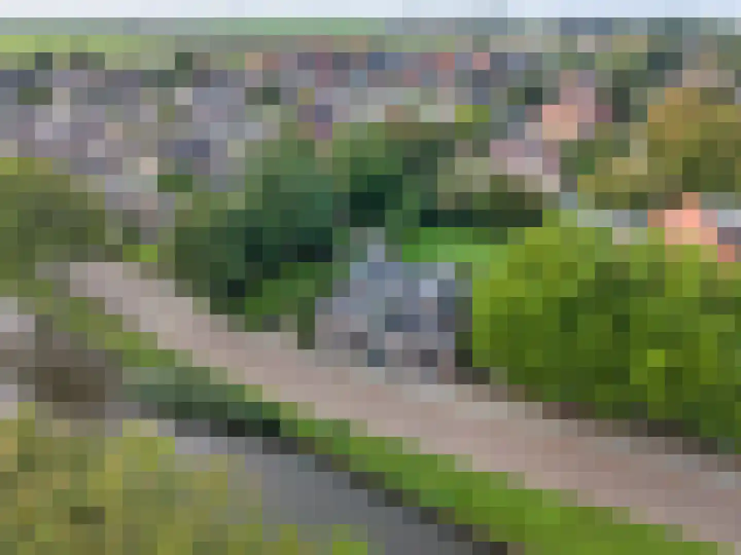 Schoolsingel 22 Arum thumbnail 58