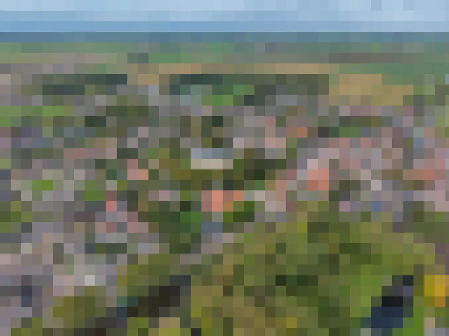 Schoolsingel 22 Arum thumbnail 59
