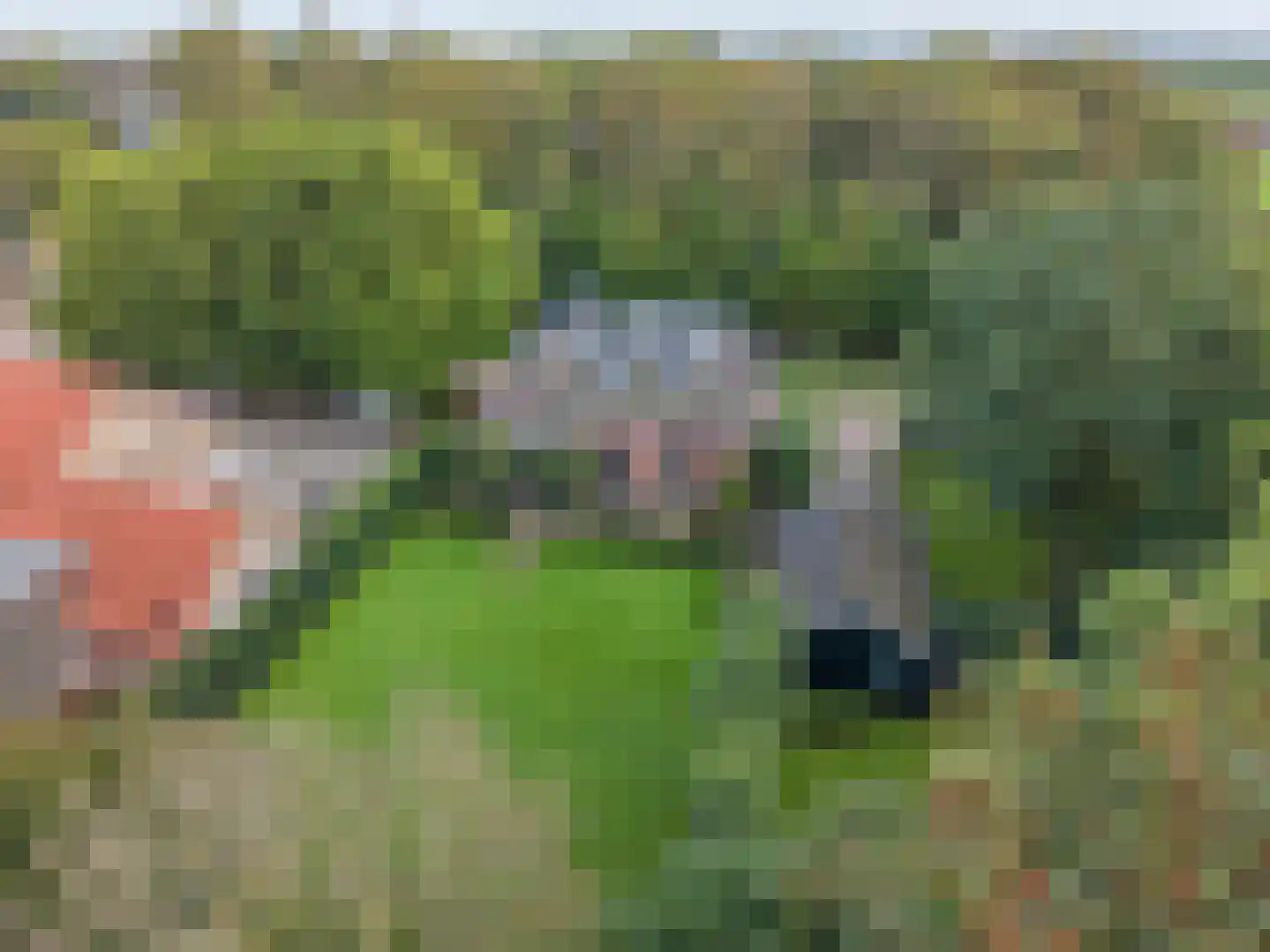 Schoolsingel 22 Arum thumbnail 61