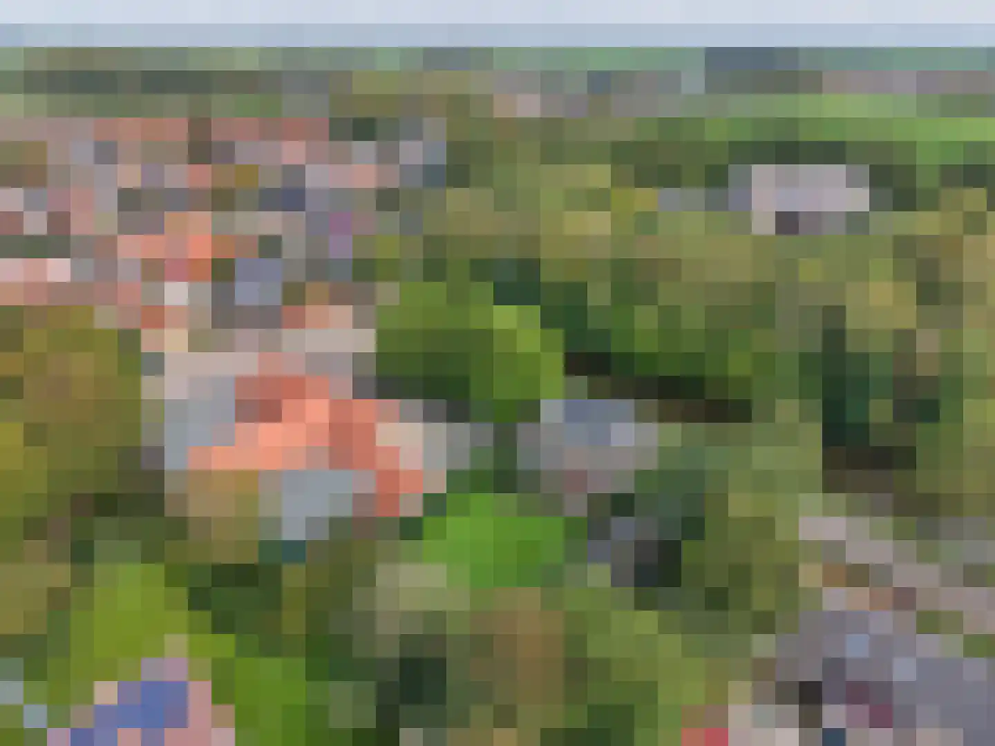 Schoolsingel 22 Arum thumbnail 62