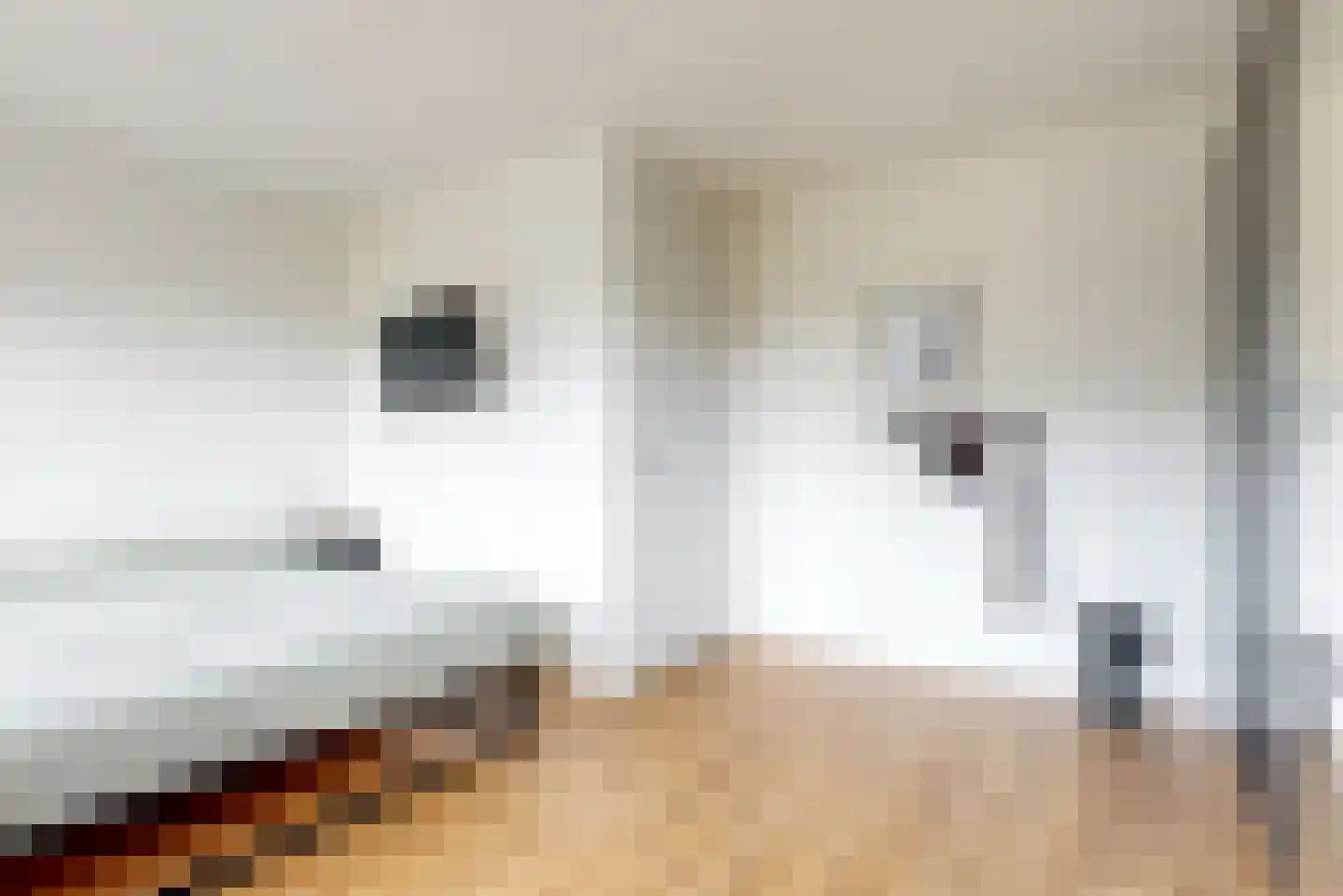 Schoolslag 16 Zuidoostbeemster thumbnail 14