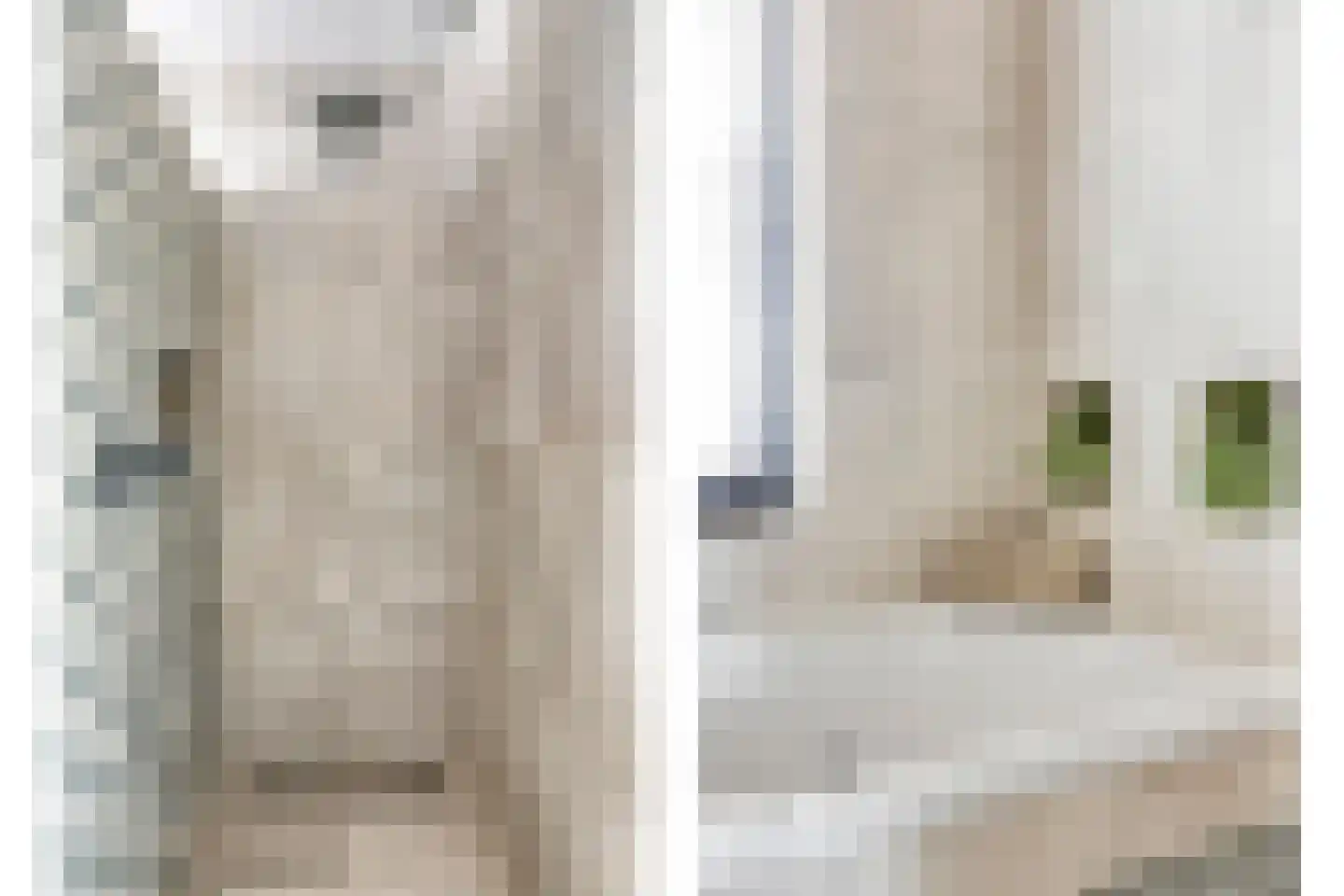 Schoolslag 5 Zuidoostbeemster thumbnail 24