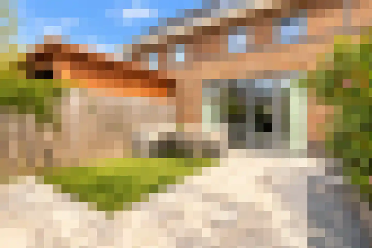 Schoolslag 5 Zuidoostbeemster thumbnail 35
