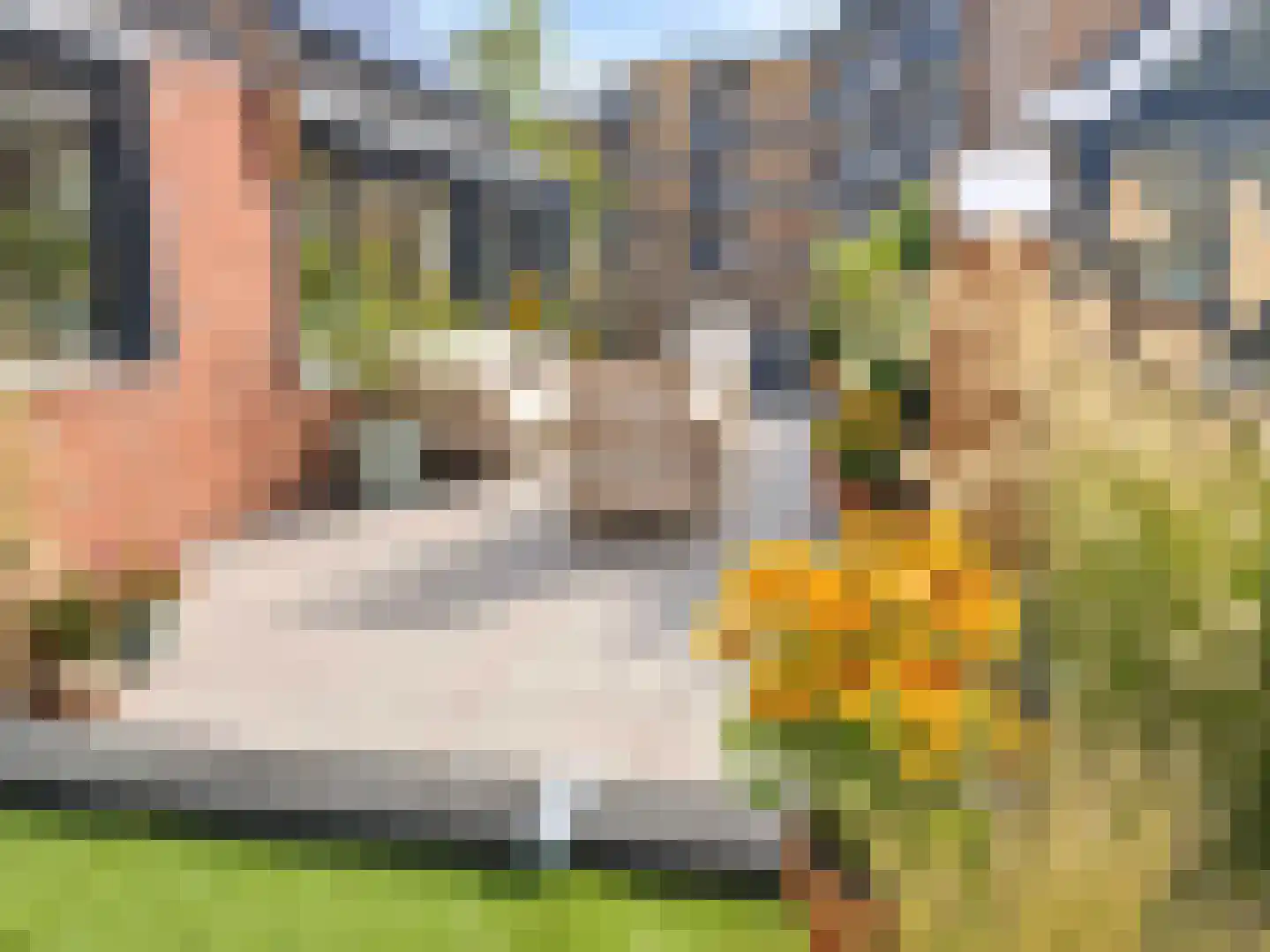 Schoolsteeg 2 Rijnsburg thumbnail 29