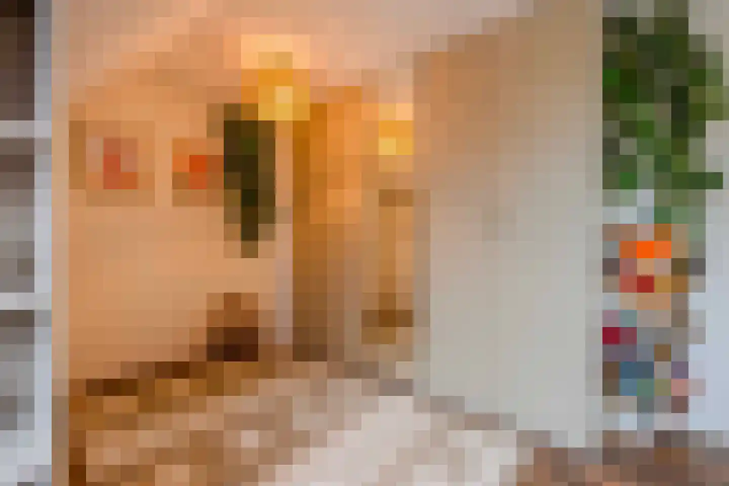 Schoolsteeg 2 Rijnsburg thumbnail 33