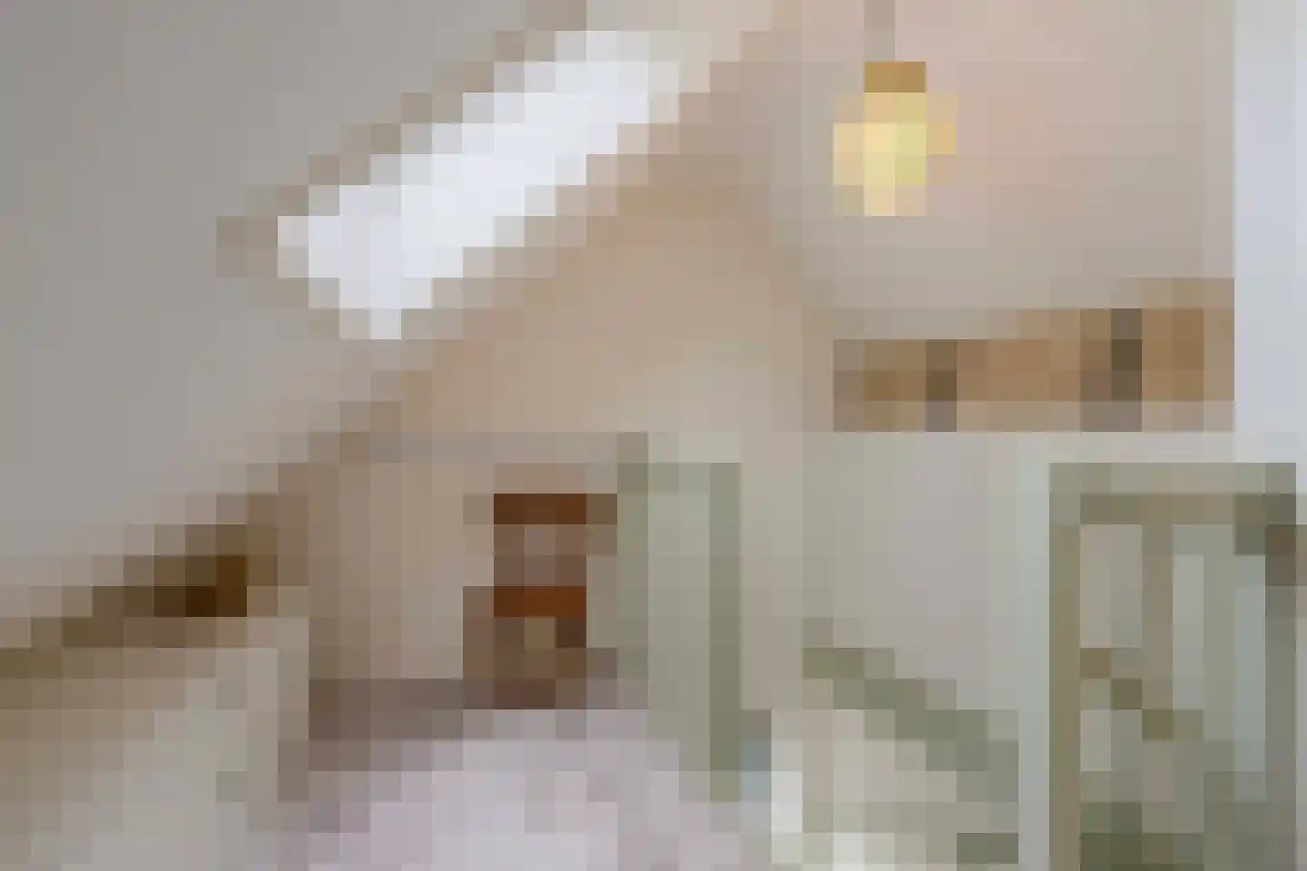 Schoolsteeg 2 Rijnsburg thumbnail 37