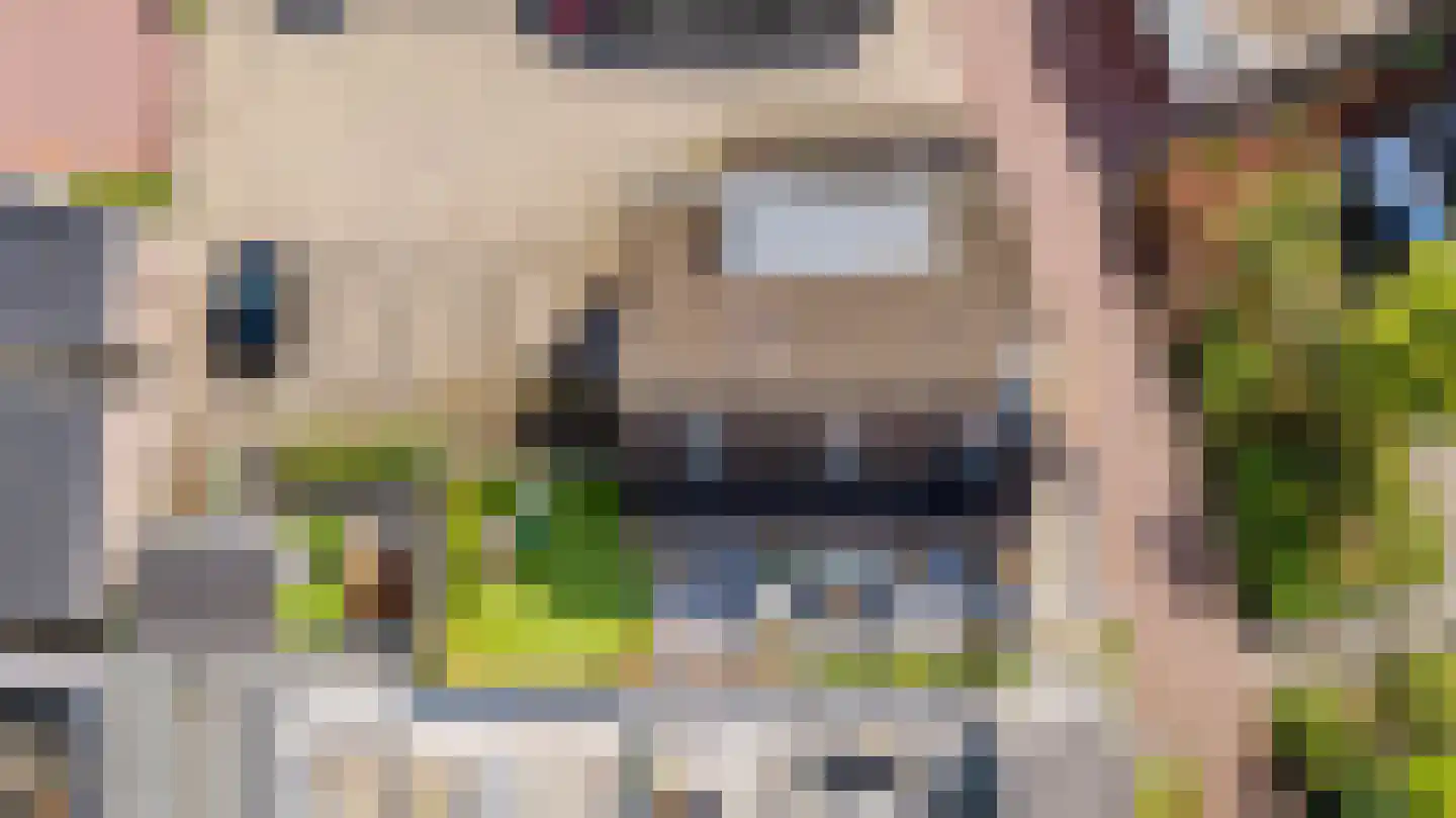Schoolsteeg 2 Rijnsburg thumbnail 4