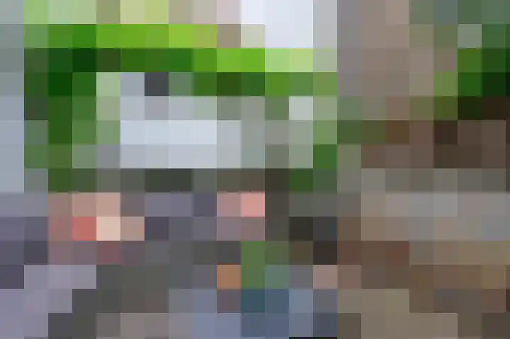 Schoolsteeg 3 Hoorn thumbnail 19