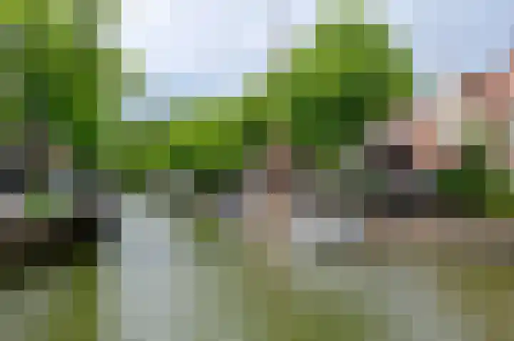 Schoolsteeg 3 Hoorn thumbnail 27