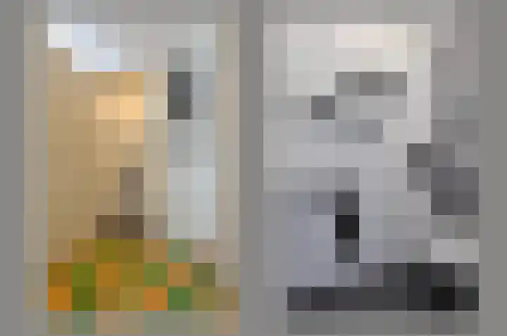 Schoolsteeg 3 Hoorn thumbnail 4