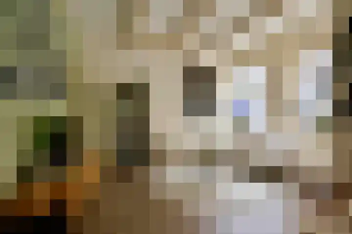 Schoolsteeg 3 Hoorn thumbnail 5
