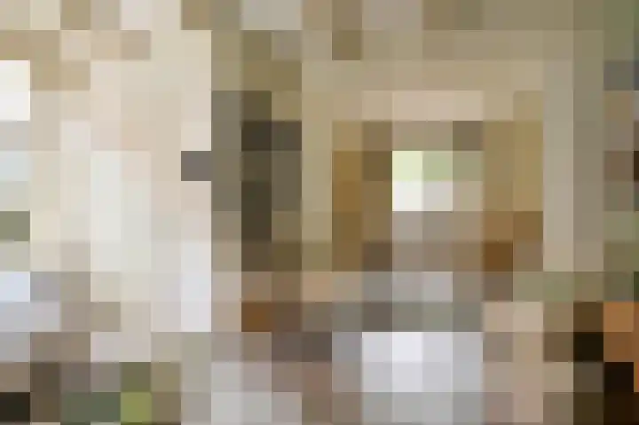 Schoolsteeg 3 Hoorn thumbnail 6