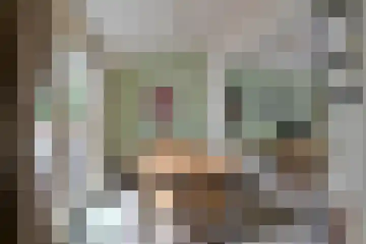 Schoolsteeg 3 Hoorn thumbnail 7
