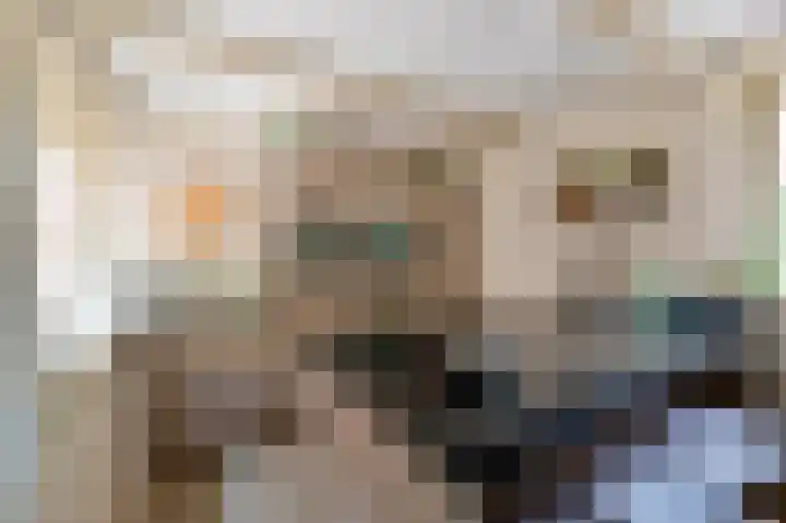 Schoolsteeg 3 Hoorn thumbnail 8