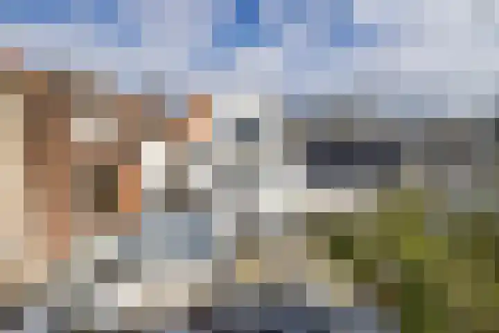Schoolsteeg 6 A Leiden thumbnail 35