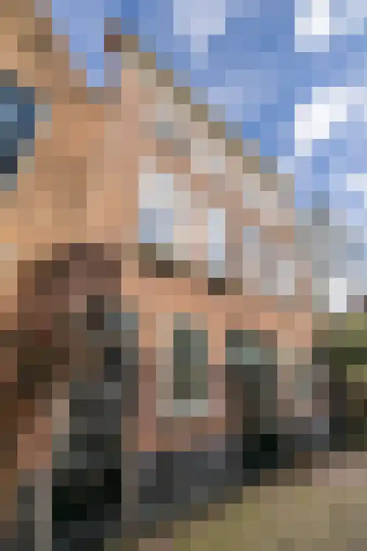 Schoolsteeg 6 A Leiden thumbnail 5