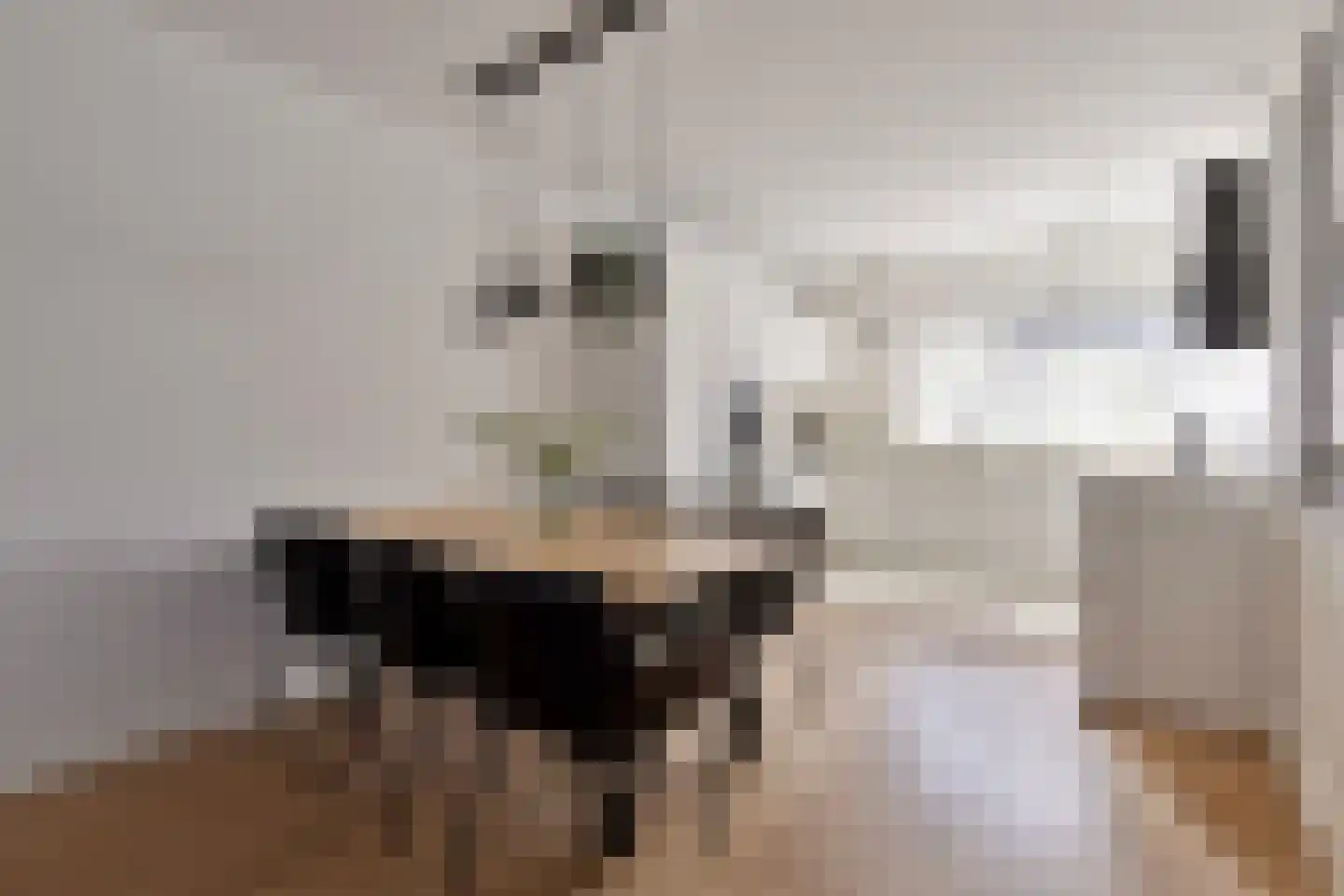 Schoolsticht 18 Dongen thumbnail 13